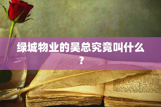 绿城物业的吴总究竟叫什么？
