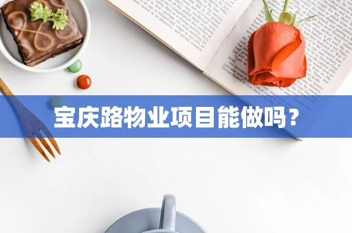 宝庆路物业项目能做吗？