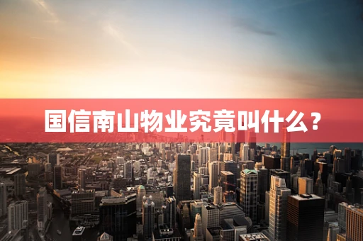 国信南山物业究竟叫什么？