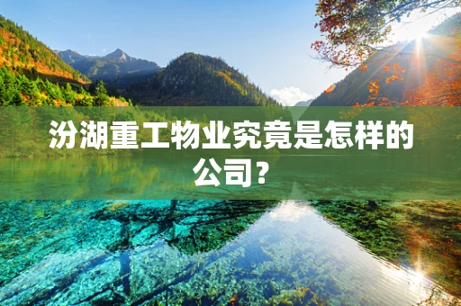 汾湖重工物业究竟是怎样的公司？