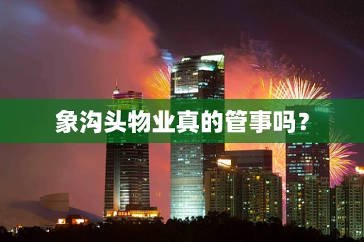 象沟头物业真的管事吗？