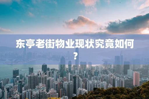 东亭老街物业现状究竟如何？
