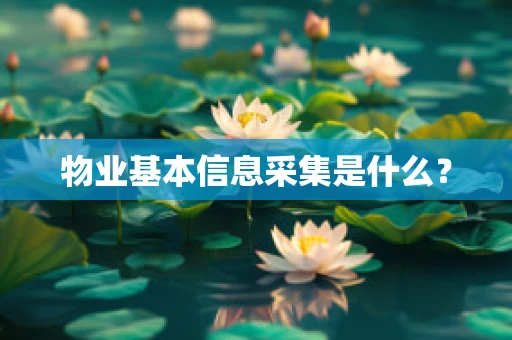 物业基本信息采集是什么？