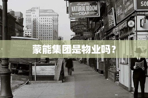 蒙能集团是物业吗？