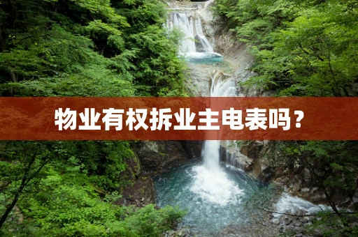 物业有权拆业主电表吗？