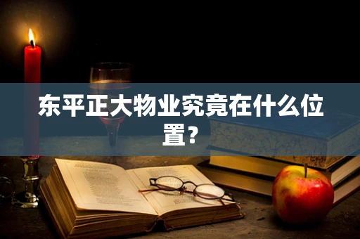 东平正大物业究竟在什么位置？