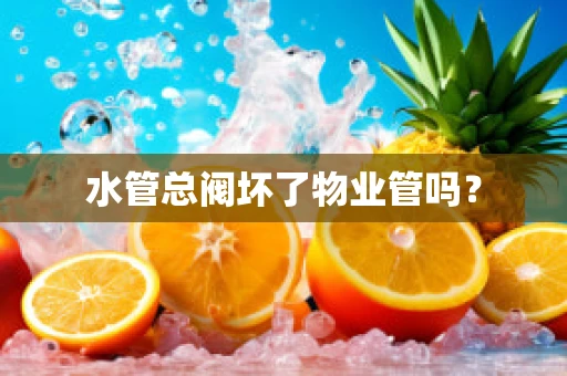水管总阀坏了物业管吗？