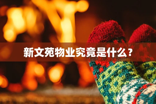 新文苑物业究竟是什么？
