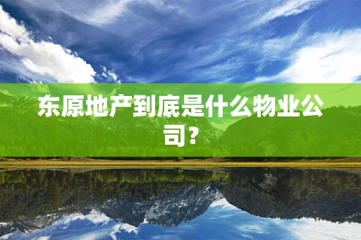 东原地产到底是什么物业公司？