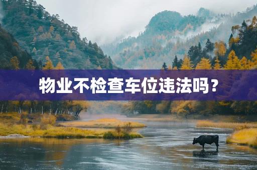 物业不检查车位违法吗？