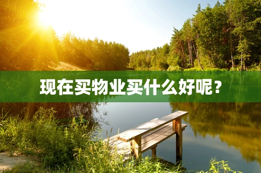 现在买物业买什么好呢？