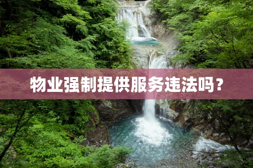 物业强制提供服务违法吗？