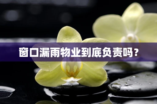 窗口漏雨物业到底负责吗？