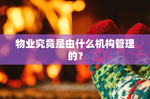 物业究竟是由什么机构管理的？