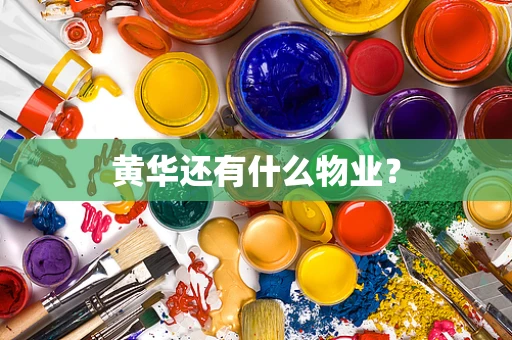 黄华还有什么物业？