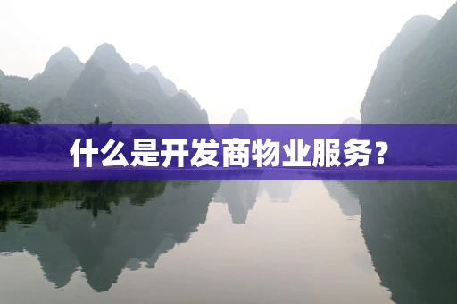 什么是开发商物业服务？