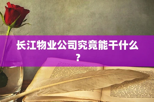 长江物业公司究竟能干什么？