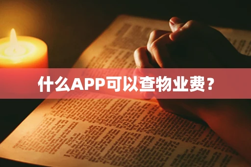 什么APP可以查物业费？