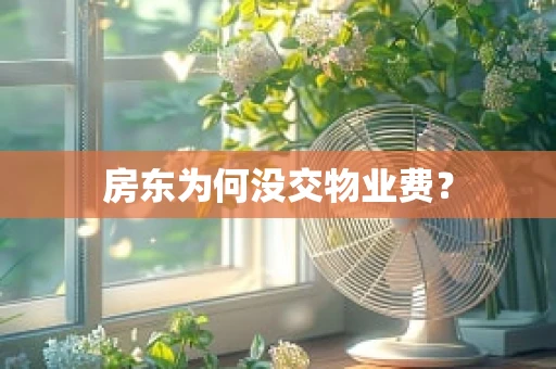 房东为何没交物业费？