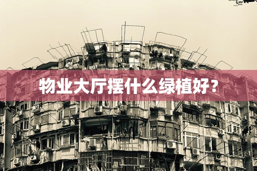 物业大厅摆什么绿植好？