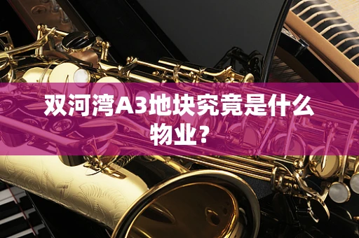 双河湾A3地块究竟是什么物业？