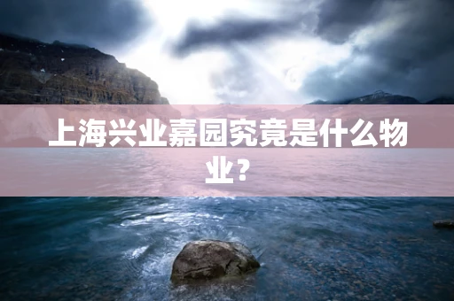上海兴业嘉园究竟是什么物业？