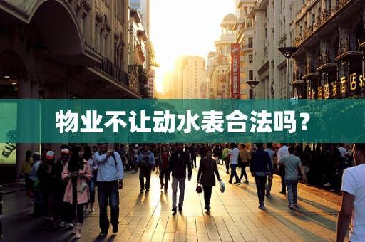 物业不让动水表合法吗？