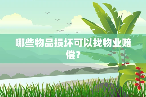 哪些物品损坏可以找物业赔偿？