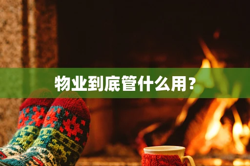 物业到底管什么用？
