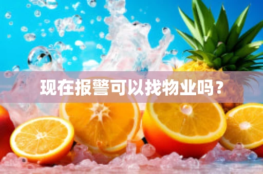 现在报警可以找物业吗？