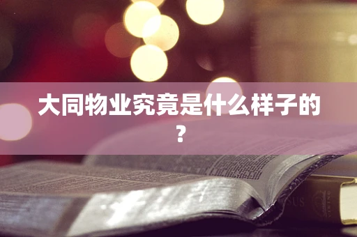 大同物业究竟是什么样子的？
