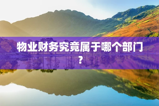 物业财务究竟属于哪个部门？