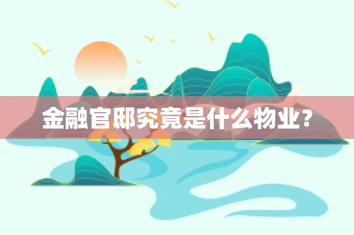 金融官邸究竟是什么物业？