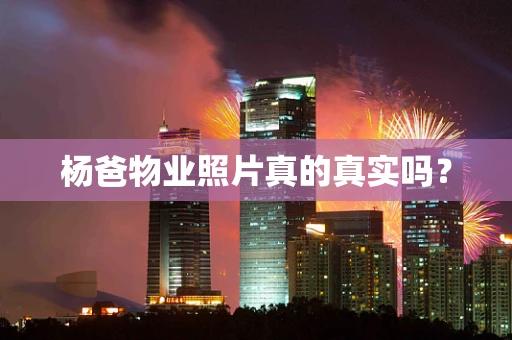 杨爸物业照片真的真实吗？