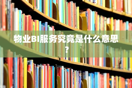 物业BI服务究竟是什么意思？