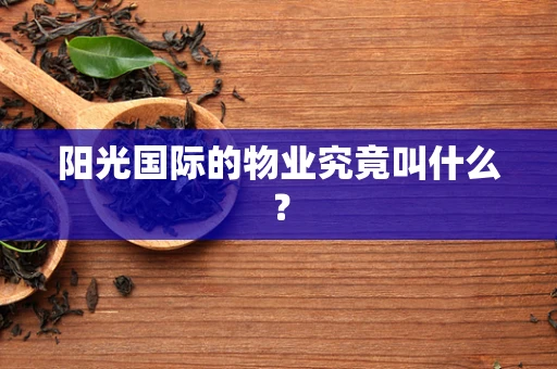 阳光国际的物业究竟叫什么？