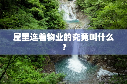 屋里连着物业的究竟叫什么？