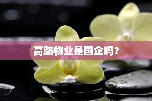 高路物业是国企吗？