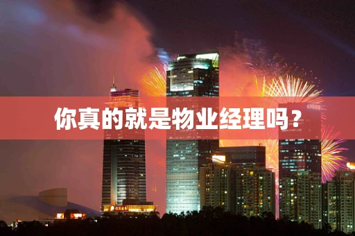 你真的就是物业经理吗？