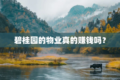 碧桂园的物业真的赚钱吗？