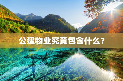 公建物业究竟包含什么？