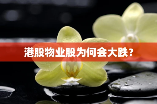 港股物业股为何会大跌？