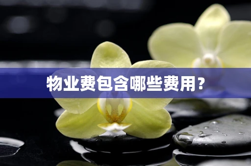 物业费包含哪些费用？