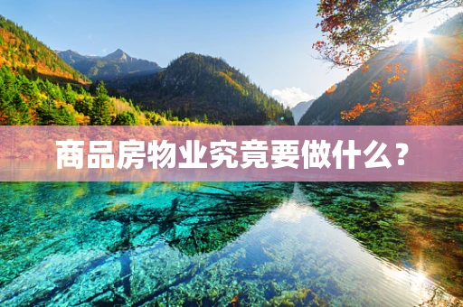 商品房物业究竟要做什么？