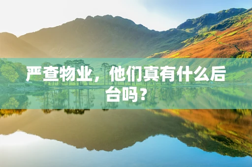 严查物业，他们真有什么后台吗？