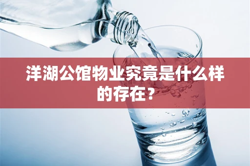 洋湖公馆物业究竟是什么样的存在？