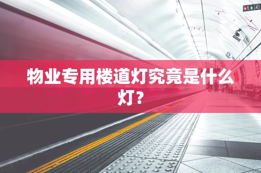 物业专用楼道灯究竟是什么灯？