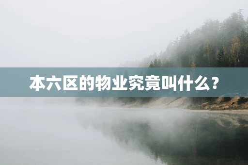 本六区的物业究竟叫什么？