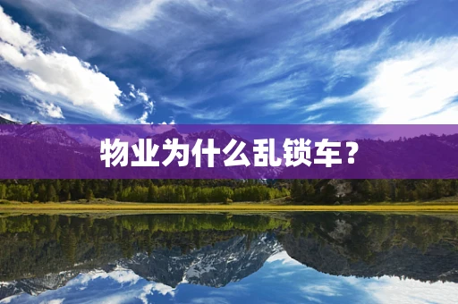 物业为什么乱锁车？