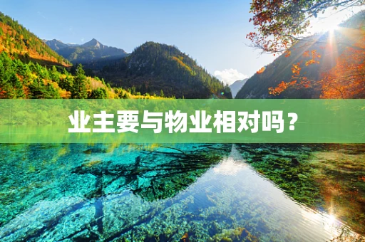 业主要与物业相对吗？